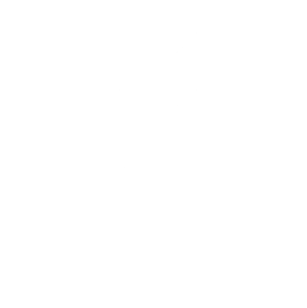 لوگو byd