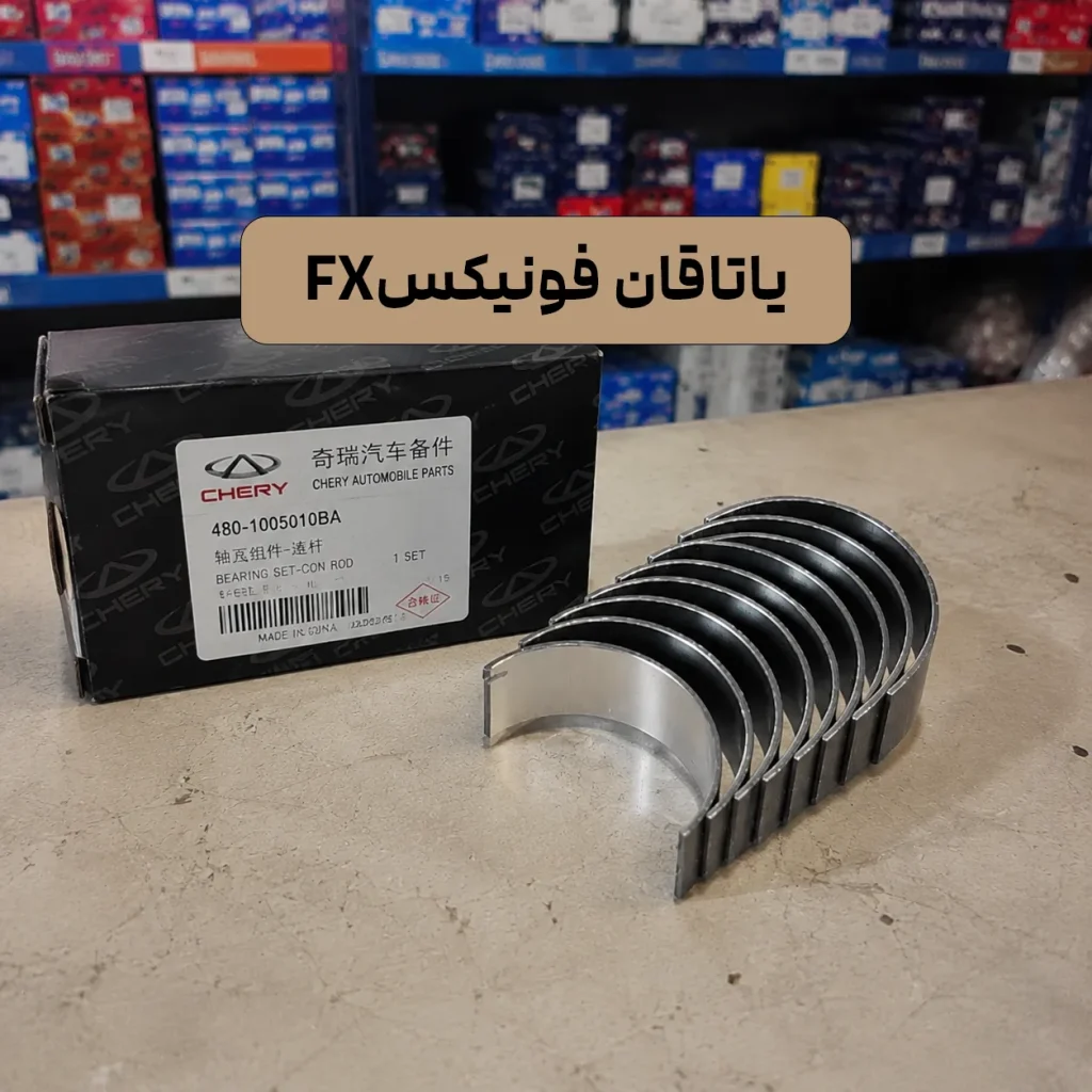این تصویر متعلق به یاتاقان فونیکس FX در چین پارس است