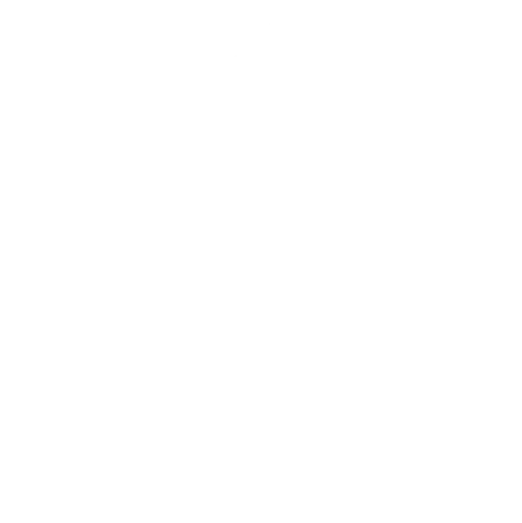 لوگو دانگ فنگ